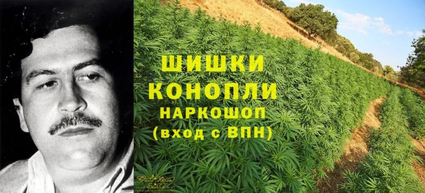 дживик Баксан